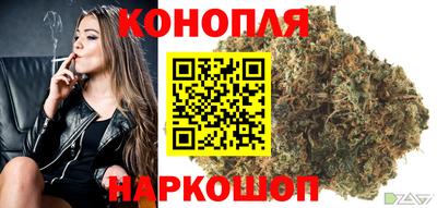 крисы Донской