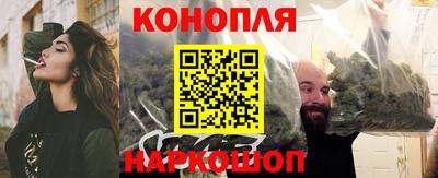крисы Донской